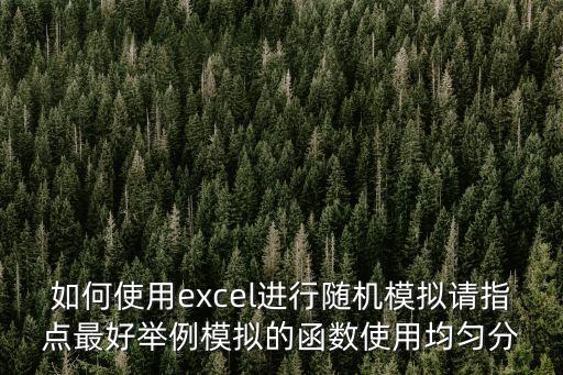 如何使用excel進(jìn)行隨機(jī)模擬請(qǐng)指點(diǎn)最好舉例模擬的函數(shù)使用均勻分
