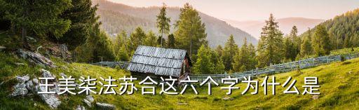 王美柒法蘇合這六個字為什么是