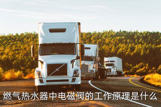 燃?xì)鉄崴髦须姶砰y的工作原理是什么