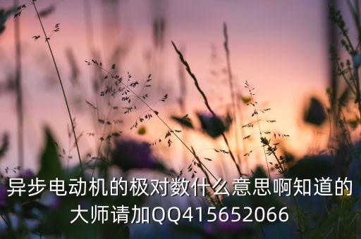 異步電動(dòng)機(jī)的極對(duì)數(shù)什么意思啊知道的大師請(qǐng)加QQ415652066