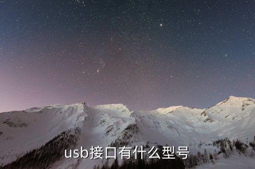 usb插頭，什么是USB插口