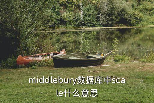 middlebury數(shù)據(jù)庫中scale什么意思