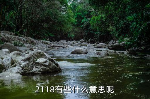 2118有些什么意思呢