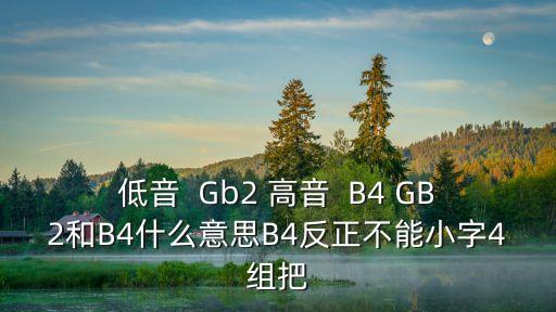 gb2，低音  Gb2 高音  B4 GB2和B4什么意思B4反正不能小字4組把