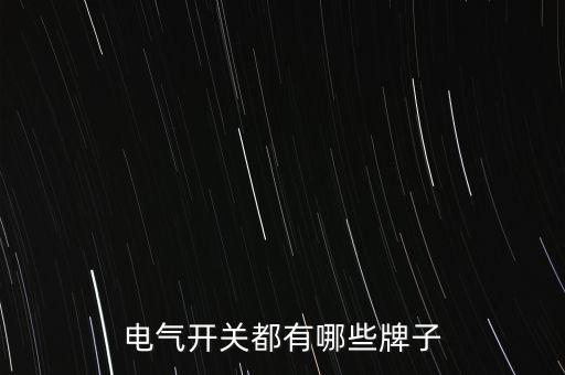 電氣開關(guān)都有哪些牌子