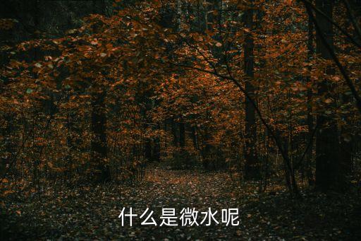 什么是微水呢