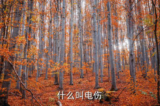 電傷是指，什么是電傷
