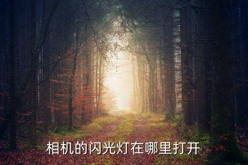 相機(jī)的閃光燈在哪里打開