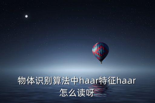 物體識別算法中haar特征haar怎么讀呀