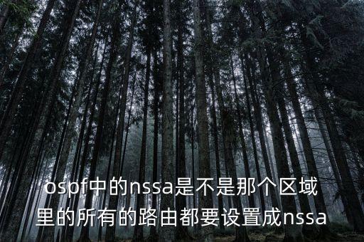 ospf中的nssa是不是那個區(qū)域里的所有的路由都要設置成nssa