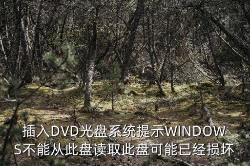 插入DVD光盤(pán)系統(tǒng)提示W(wǎng)INDOWS不能從此盤(pán)讀取此盤(pán)可能已經(jīng)損壞