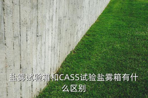鹽霧試驗(yàn)箱和CASS試驗(yàn)鹽霧箱有什么區(qū)別