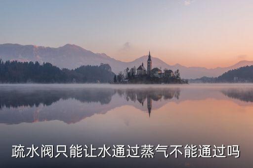 疏水閥只能讓水通過蒸氣不能通過嗎