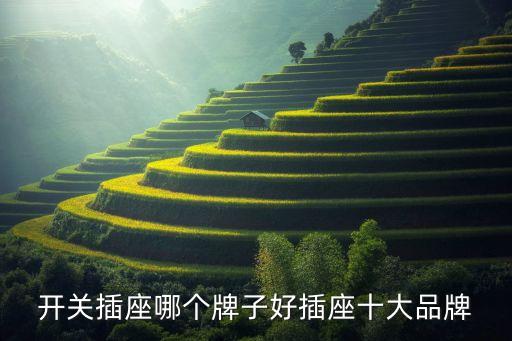 開關(guān)插座哪個牌子好插座十大品牌