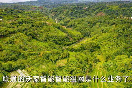 沃家，聯(lián)通的沃家智能智能組網(wǎng)是什么業(yè)務(wù)了