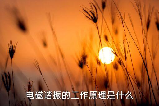 電磁諧振的工作原理是什么
