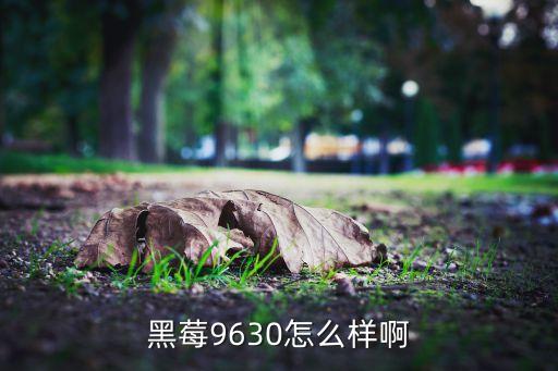 黑莓9630怎么樣啊