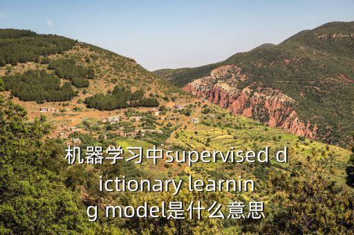 機(jī)器學(xué)習(xí)中supervised dictionary learning model是什么意思