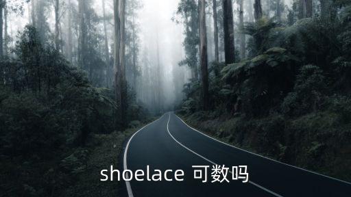 shoelace，shoelace 可數(shù)嗎