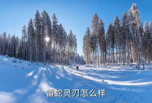 靈刃，熱血江湖 刺客的靈刃哪里買
