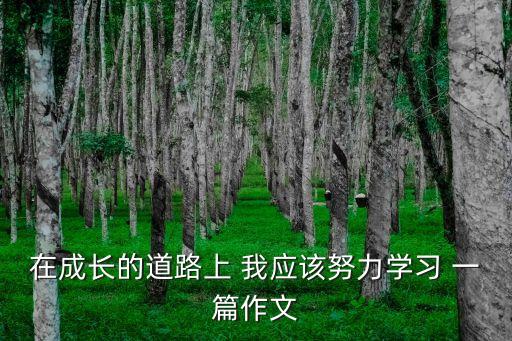 我應(yīng)該，我應(yīng)該開頭的句子