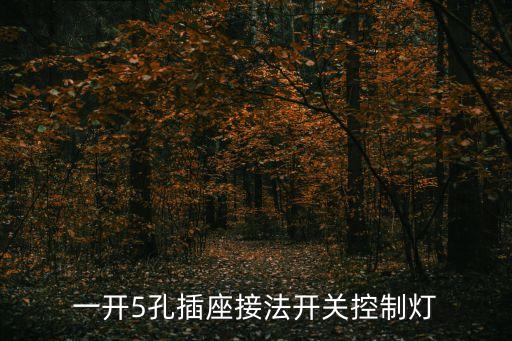 五孔插座接線圖，兩開五孔插座接線圖
