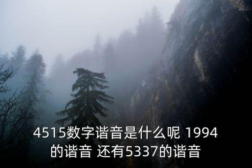 4515，4515數(shù)字諧音是什么呢 1994的諧音 還有5337的諧音