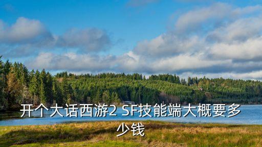 開個大話西游2 SF技能端大概要多少錢