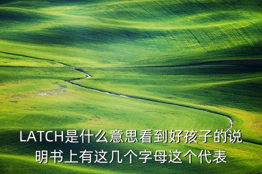 LATCH是什么意思看到好孩子的說明書上有這幾個字母這個代表