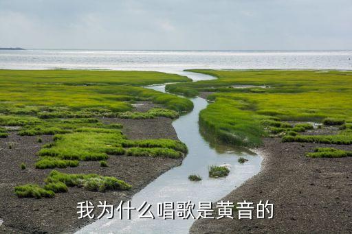 黃音，金黃的落葉忙著哪個(gè)字是三拼音節(jié)