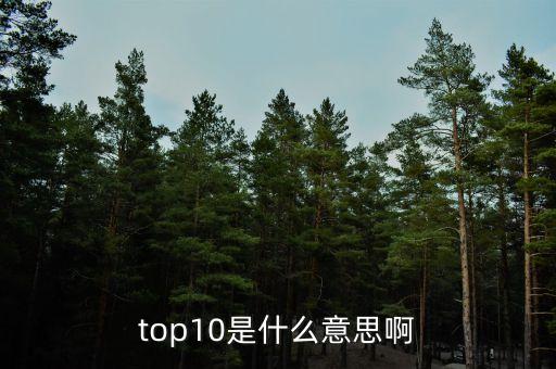 top10是什么意思啊