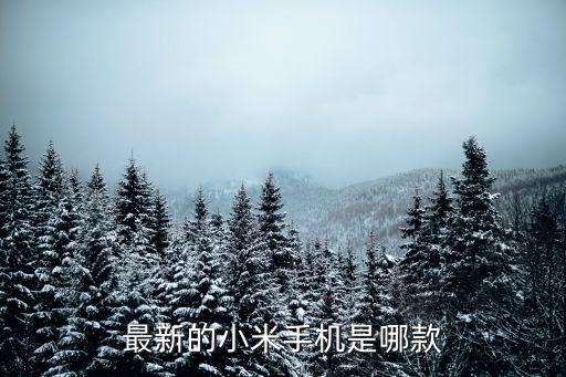 最新的小米手機是哪款