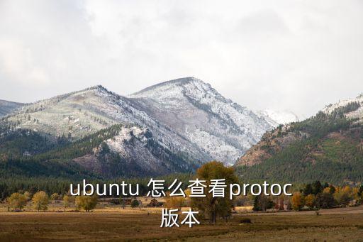 ubuntu 怎么查看protoc版本
