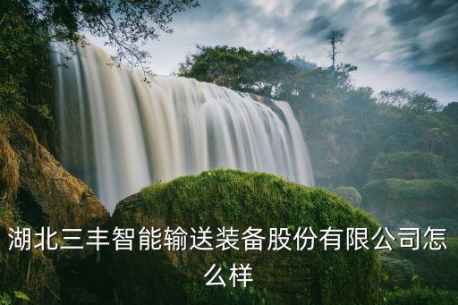 湖北三豐智能輸送裝備股份有限公司怎么樣