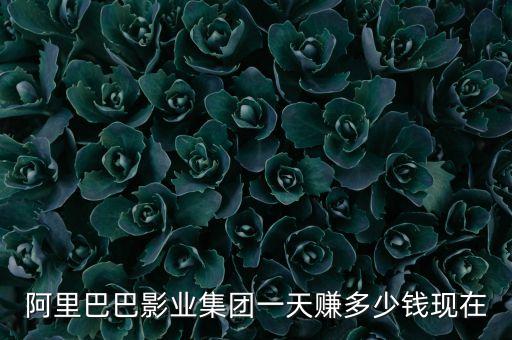 阿里巴巴影業(yè)集團一天賺多少錢現(xiàn)在