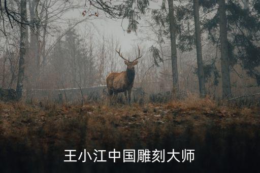 王小江，王小江中國雕刻大師