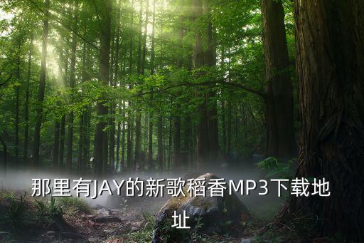 那里有JAY的新歌稻香MP3下載地址