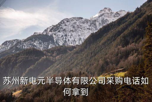 新電元，廣州新電元電器有限公司雙休嗎