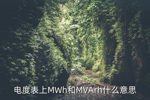 電度表上MWh和MVArh什么意思