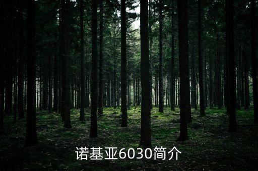 6030，6030是哪家銀行卡號