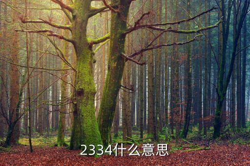 2334什么意思