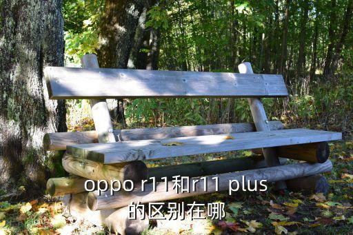 r11plus，OPPO R11 Plus功能介紹