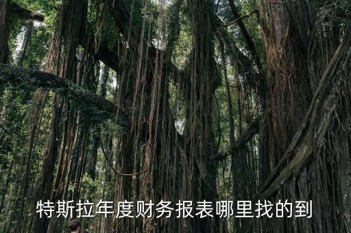 特斯拉股票代碼，特斯拉的股票代碼是多少阿