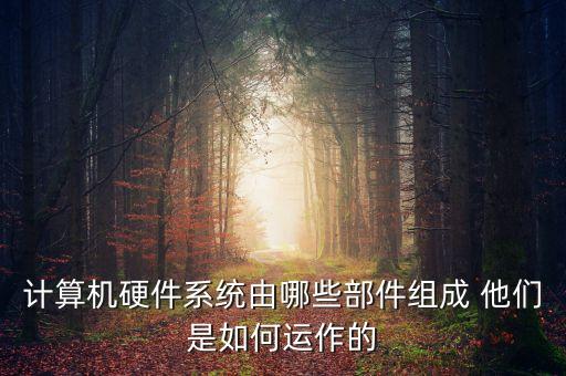 計(jì)算機(jī)硬件系統(tǒng)由哪些部件組成 他們是如何運(yùn)作的