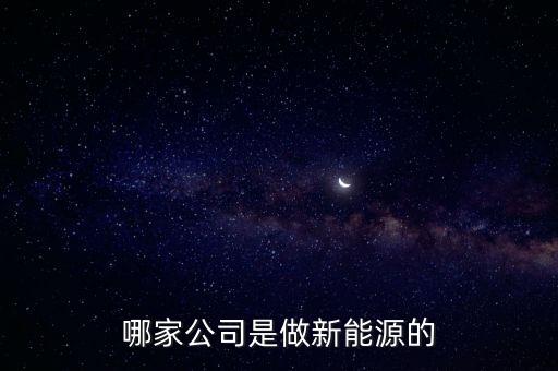 哪家公司是做新能源的