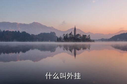什么叫外掛
