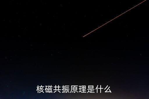 核磁共振原理是什么
