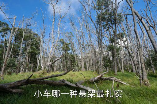 懸架設(shè)計(jì)，大神拖曳臂式懸架和扭力梁式非獨(dú)立懸架哪個(gè)好