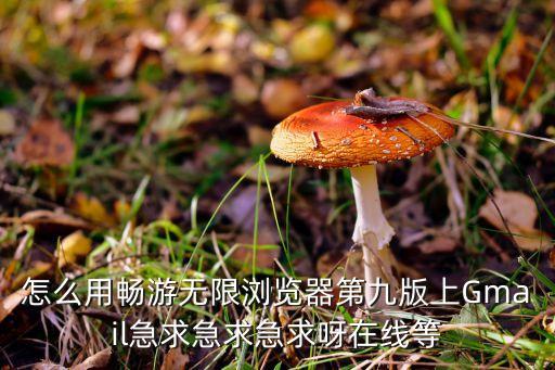 無限制訪問國外的瀏覽器，球安卓好用的國外瀏覽器速度要快23系統(tǒng)230RAM拉得動的中英