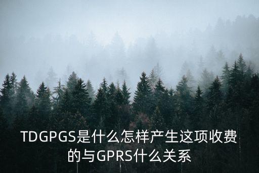 tdg，TDGPGS是什么怎樣產(chǎn)生這項收費(fèi)的與GPRS什么關(guān)系
